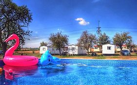 Holiday Home Prima By Interhome